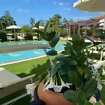 Szálloda Cala Mirto Budoni