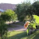 Cala Mirto فندق